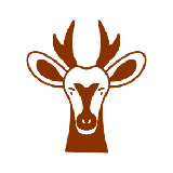 Antelope Venison
